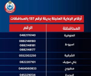 الصحة تنشر أرقاما اللرعاية الحرجة والعاجلة بديلا عن 137 بعد حريق السنترال