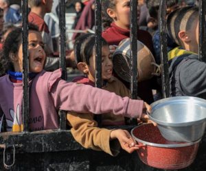 الأمم المتحدة تحذر من الانهيار الشامل لمنظومة الغذاء في غزة