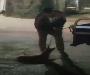 ضبط المتهم بربط كلب بتروسيكل وسحله في المنوفية
