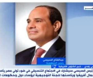 خبير: مصر تقدم لأفريقيا نموذجًا تنمويًا ناجحًا ومبادرات حاسمة للأمن والسلام