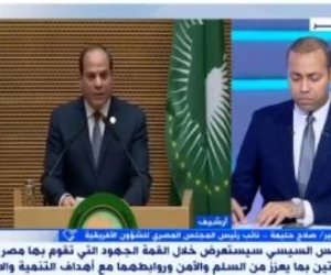 صلاح حليمة: مصر تطرح شراكات استراتيجية وتنموية بقمة الاتحاد الإفريقى التنسيقية
