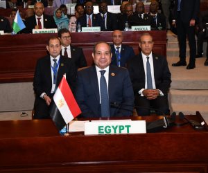 دينا الحسيني تكتب: من التحرر إلى التنمية الشاملة.. قصة الدور المصري في أفريقيا