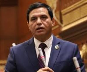 طارق نصير: المشاركة في انتخابات الشيوخ دعم للوطن ورسالة للعالم طارق نصير: المشاركة في انتخابات الشيوخ دعم للوطن ورسالة للعالم