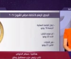 حسام الخولى: وضعنا "ميثاق شرف" للمنافسة فى انتخابات الشيوخ