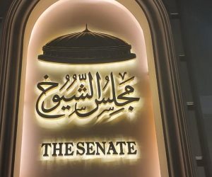 تعرف على أسماء المنظمات المقيدة لمتابعة انتخابات مجلس الشيوخ حتى الآن