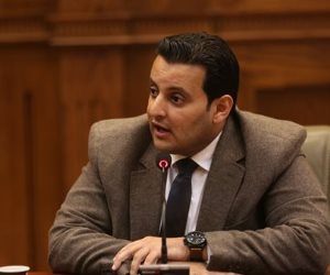 الجبهة الوطنية: علاقات مصر والسعودية دعامة الاستقرار في المنطقة بأسرها