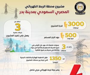 37600 ميجاوات أمس الخميس أقصى حمل للشبكة المحلية هذا العام وارتفاع الأحمال 500 ميجاوات يومياً تعادل ⅙ مشروع الربط الكهربائي المصري السعودي