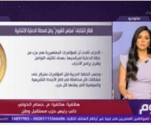 حسام الخولي: المواطنون متفاعلون مع انتخابات مجلس الشيوخ