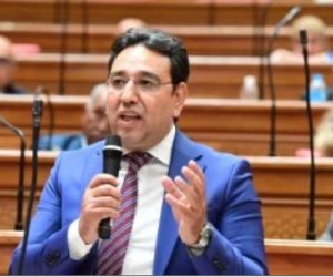 النائب أيمن محسب: الدولة المصرية تلعب دورا محوريا في دعم القضية الفلسطينية