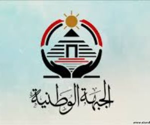 أحمد الحمامصى: أخوض معركة الانتخابات لخدمة البلد وليس من أجل المنصب