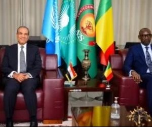 وزير الخارجية يناقش سبل تعزيز العلاقات الثنائية مع وزير خارجية مالى فى باماكو