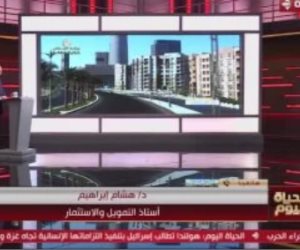 هشام إبراهيم: الاقتصاد المصرى متنوع وقادر على جذب الاستثمار رغم التحديات