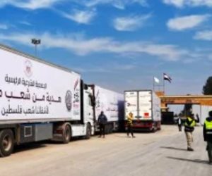 القاهرة الإخبارية: دخول 166 شاحنة مساعدات إلى غزة عبر معبرى "زكيم" وكرم أبو سالم