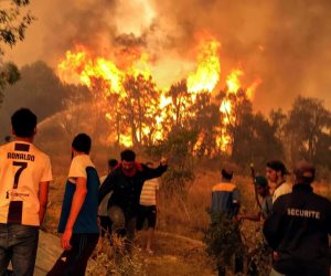 خسائر مادية كبيرة فى الجزائر والدفاع المدنى يحاول السيطرة على حرائق غابات بشرق البلاد