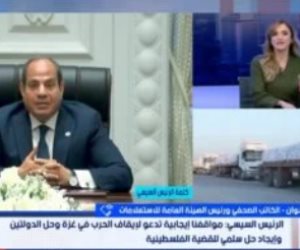 ضياء رشوان: مصر التزمت بـ3 أهداف منذ بدء العدوان.. وموقفها من القضية ثابت