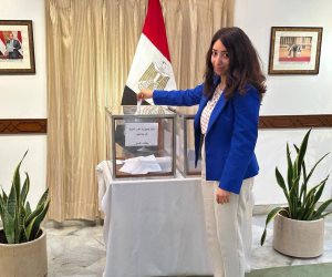 المصريون فى الهند يدلون بأصواتهم فى انتخابات مجلس الشيوخ.. صور