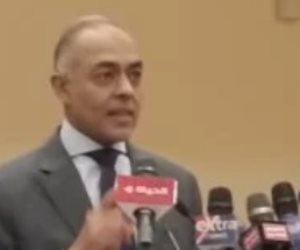 أحمد بندارى: انتخابات الشيوخ فى الخارج تسير بصورة جيدة وتواصل دائم مع السفارات