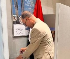 انتخابات مجلس الشيوخ.. المصريون في كوريا الجنوبية يدلون بأصواتهم