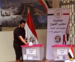 26 دولة تعلن غلق لجان تصويت المصريين بالخارج فى انتخابات مجلس الشيوخ 2025