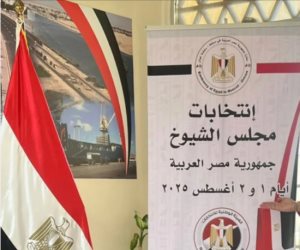 فى أول أيام الاقتراع.. المصريون بالبحرين يدلون بأصواتهم فى انتخابات "الشيوخ"