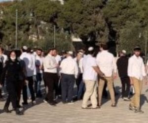 يقودهم بن غفير وعضو كنيست.. 1251 مستوطنا يقتحمون باحات المسجد الأقصى