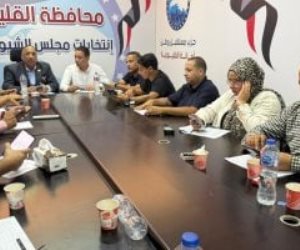 غرفة عمليات "مستقبل وطن" بالقليوبية تتابع سير انتخابات مجلس الشيوخ بالمحافظة