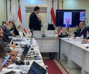 الوطنية للانتخابات: وفاة والد رئيس لجنة ومصرع موظفة وزوجها فى حادث سير