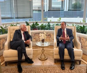وزير الخارجية يلتقى رئيس مجلس إدارة الشركات المعنية بتنفيذ مشروع الربط الكهربائى بين مصر واليونان