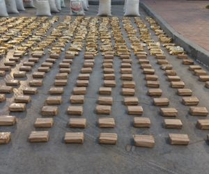 قيمتها 255 مليون جنيه.. ضبط عنصرين جنائيين شديدي الخطورة بالإسماعيلية لمحاولتهما جلب مواد مخدرة