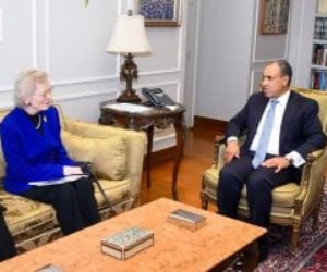 وزير الخارجية يستعرض جهود مصر لوقف إطلاق النار فى غزة