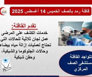 محافظة الجيزة تنظم قافلة طبية متخصصة في أمراض العيون بمدينة الصف