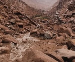 منذ قليل .. سيول وأمطار غزيرة تضرب وادى الأربعين بسانت كاترين.. فيديو