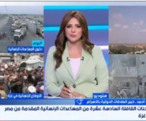 خبير دولي: مصر أحبطت مخطط تصفية القضية الفلسطينية باستراتيجية متكاملة