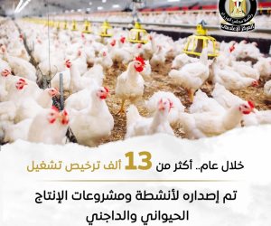أكثر من 13 ألف ترخيص تشغيل خلال عام لمشروعات إنتاج حيواني وداجني.. و147 ندوة إرشادية في 16 محافظة