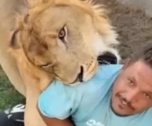 ليبي يطلق أسداً على عامل مصري والسلطات الأمنية تحقق.. فيديو