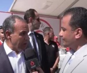وزير الخارجية: جهود مصر مستمرة بتوجيهات الرئيس السيسى لوقف العدوان على غزة
