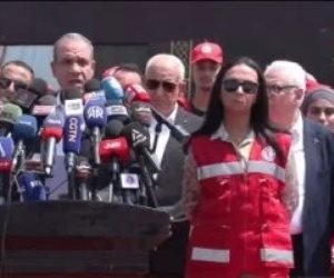 وزير الخارجية: مصر بقيادة الرئيس السيسي لن تدخر جهدا في دعم الشعب الفلسطيني