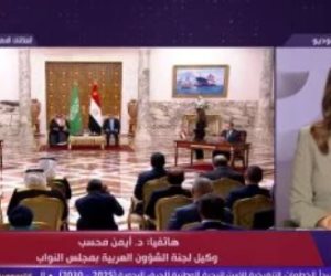 وكيل مجلس النواب: زيارة الرئيس السيسي للسعودية تعكس عمق العلاقات بين البلدين