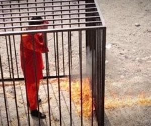 بعد الحكم عليه مدى الحياة.. قاتل الطيار الأردنى معاذ الكساسبة يستأنف على حكم حبسه