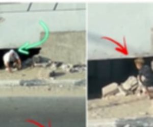 كشف ملابسات فيديو يظهر فتحة أسفل أحد الكباري لاستغلال الأطفال في أعمال التسول