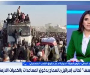 صلاح عبد العاطى: إعلان المجاعة فى غزة يُلزم العالم باتخاذ تدابير لضمان وقفها صلاح عبد العاطى: إعلان المجاعة فى غزة يُلزم العالم باتخاذ تدابير لضمان وقفها