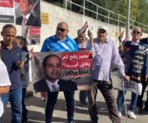 الجالية المصرية في النمسا ترفض محاولات الضغوط الخارجية على مصر.. صور