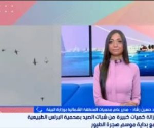 البيئة تزيل ألف متر من شباك الصيد بمحمية البرلس لحماية الطيور المهاجرة