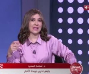 أسامة السعيد: رؤية مصر والإمارات هامة للغاية من أجل تحقيق السلام الإقليمى