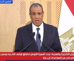 وزير الخارجية: التبادل التجارى مع قطر شهد طفرة كبيرة بزيادة تجاوزت 54 %
