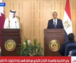 رئيس الوزراء القطرى: نواصل جهودنا مع مصر لوقف إطلاق النار فى غزة