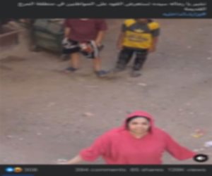 بعد تداول الفيديو.. ضبط سيدة وآخرين لاتهامهم بأعمال البلطجة وترويع المارة بالمرج