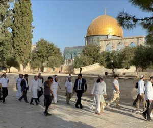 بالغناء والرقص .. عشرات المستوطنين يقتحمون المسجد الأقصى في حماية شرطة الاحتلال الإسرائيلي