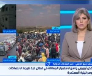 خبير: جهود مصر نجحت في تحويل الموقف الأوروبي تدريجيا لصالح القضية الفلسطينية