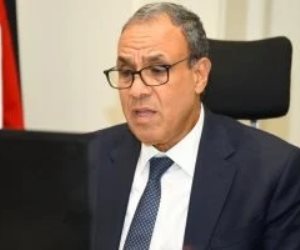 وزير الخارجية: استعادة الأمن والاستقرار بالمنطقة لن يتحقق إلا بحل الدولتين